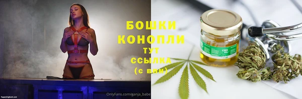 винт Вяземский