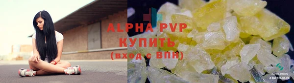 винт Вяземский