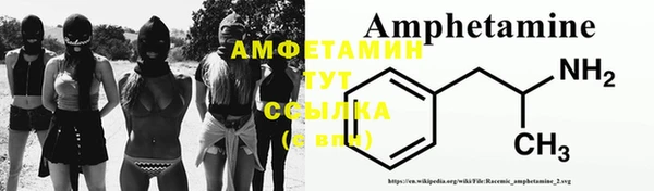 стафф Вязьма