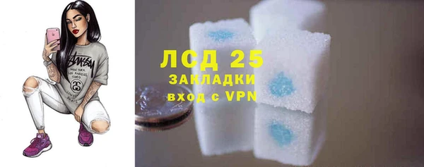 винт Вяземский