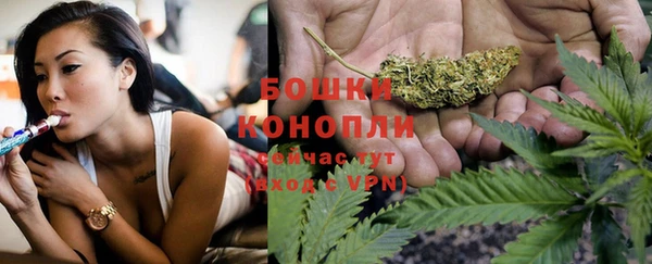 стафф Вязьма
