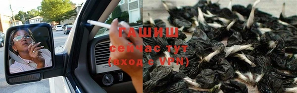винт Вяземский