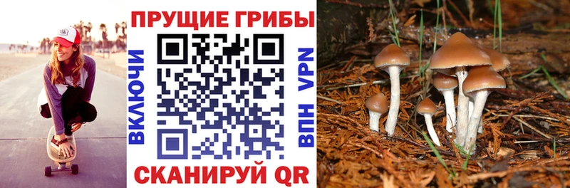 Галлюциногенные грибы мицелий Урус-Мартан